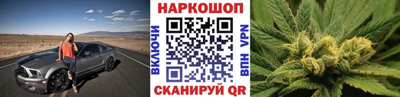Виды наркотиков купить Ленинградская ГАШ  Бошки Шишки  Alpha PVP  Псилоцибиновые грибы  БУТИРАТ  МЕФ 